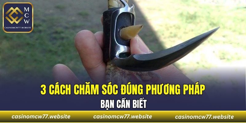 3 cách chăm sóc đúng phương pháp bạn cần biết