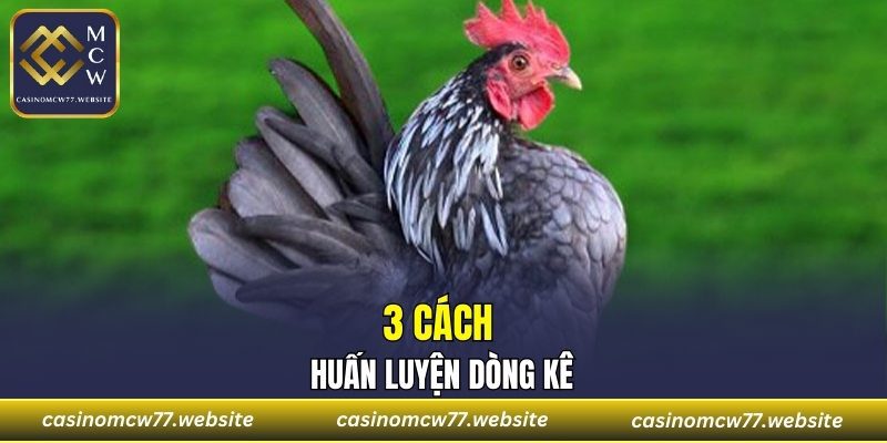3 cách huấn luyện dòng kê