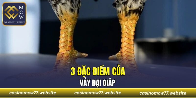 3 đặc điểm của Vảy Đại Giáp