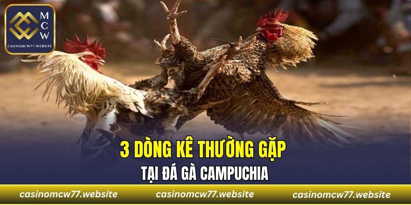 3 dòng kê thường gặp tại đá gà Campuchia