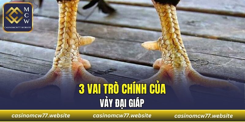 3 vai trò chính của Vảy Đại Giáp