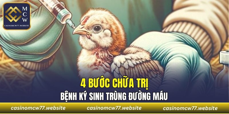 4 bước chữa trị bệnh ký sinh trùng đường máu