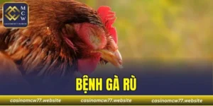 Bệnh Gà Rù
