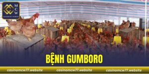 Bệnh Gumboro