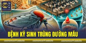 Bệnh Ký Sinh Trùng Đường Máu