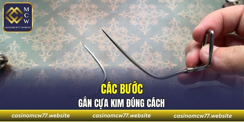 Các bước gắn cựa kim đúng cách