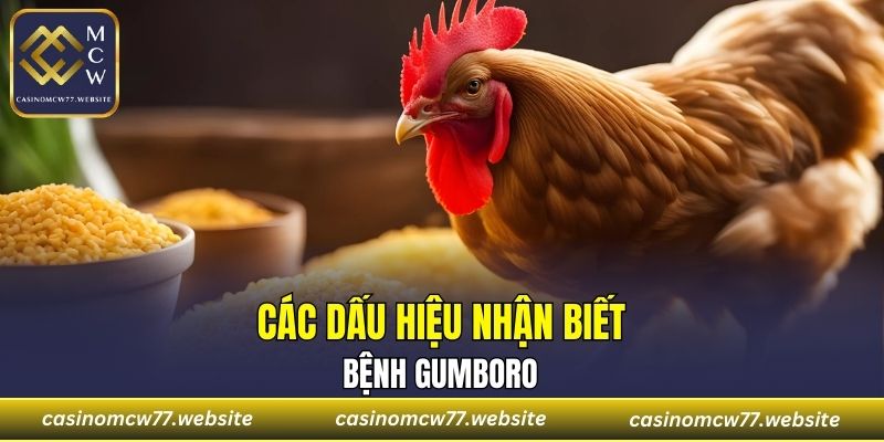 Các dấu hiệu nhận biết bệnh Gumboro