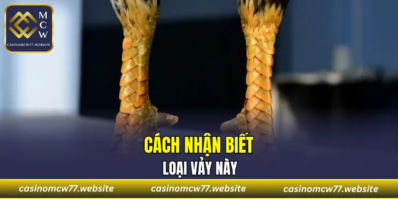 Cách nhận biết loại vảy này