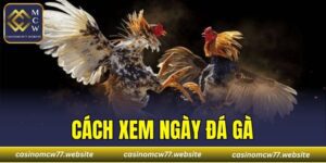 Cách Xem Ngày Đá Gà