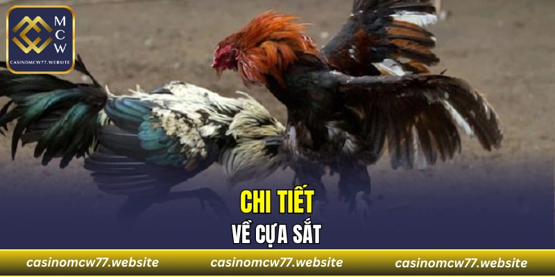 Chi tiết về cựa sắt