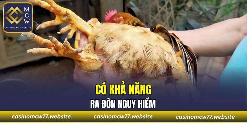 Có khả năng ra đòn nguy hiểm