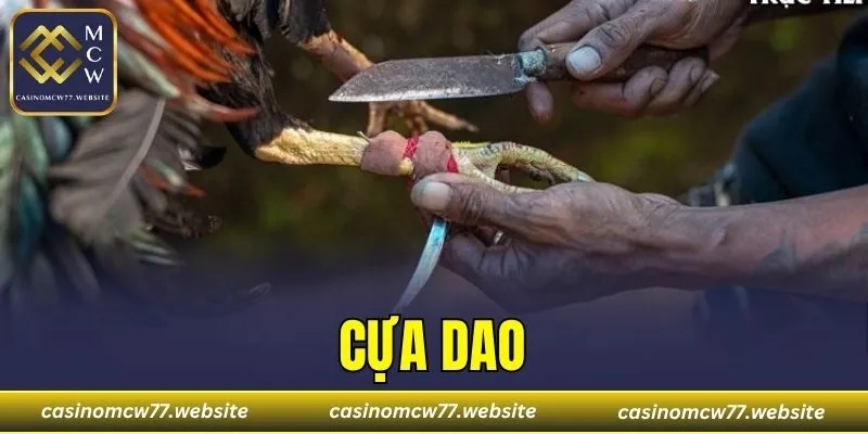 Cựa Dao