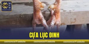 Cựa Lục Đinh