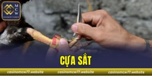 Cựa Sắt
