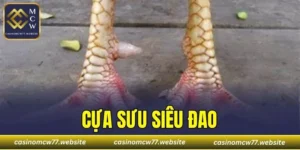 Cựa Sưu Siêu Đao