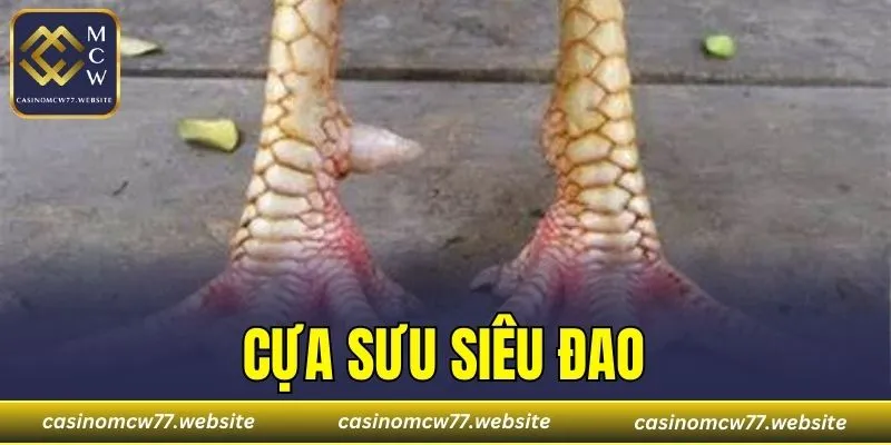 Cựa Sưu Siêu Đao