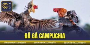 Đá Gà Campuchia