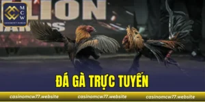 Đá Gà Trực Tuyến
