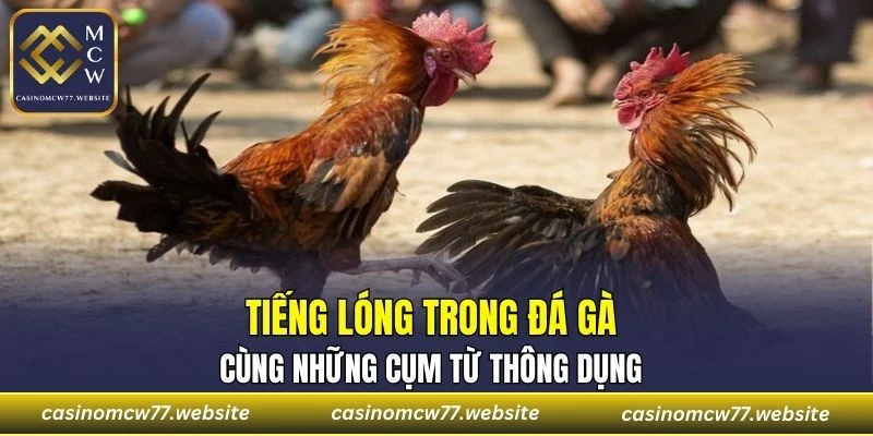 Đây là kiểu ngôn ngữ “ngầm” được đưa vào sử dụng