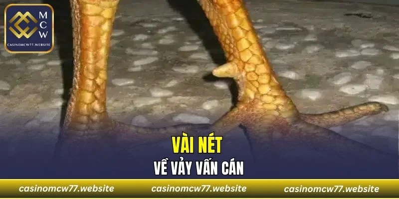 Đây là một trong những loại hiếm gặp