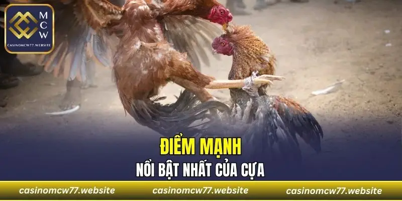Điểm mạnh nổi bật nhất của cựa