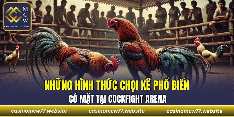 Điểm qua một vài hình thức đá gà cực hot