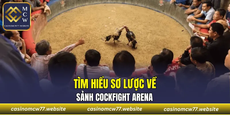 Đôi nét thú vị về sảnh Cockfight Arena