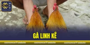 Gà Linh Kê