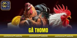 Gà Thomo
