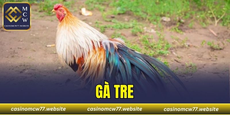 Gà Tre