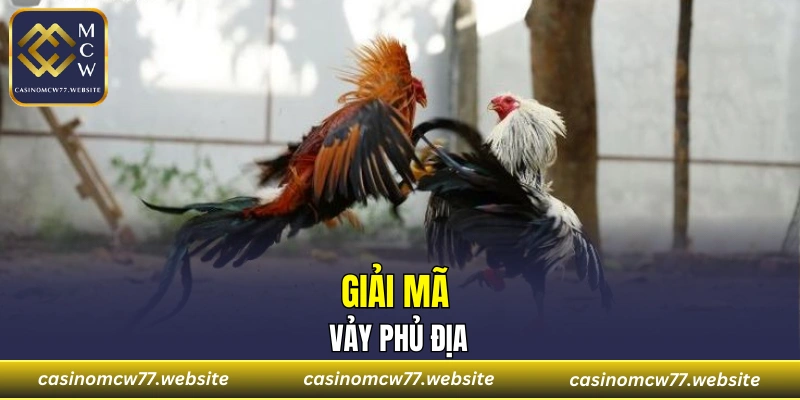 Giải mã vảy phủ địa