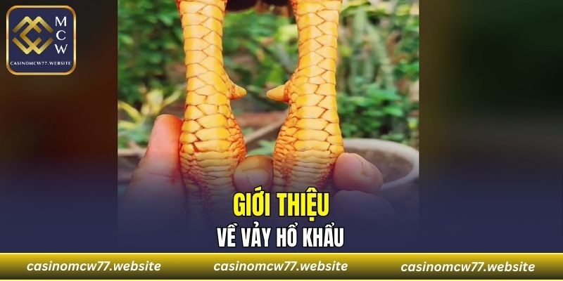Giới thiệu về vảy hổ khẩu