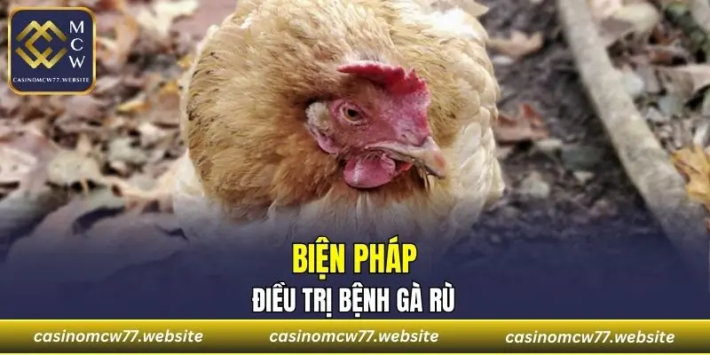 Kê bị rù với biện pháp điều trị như thế nào