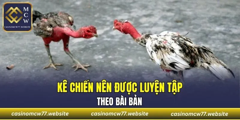 Kê chiến nên được luyện tập theo quy trình cụ thể