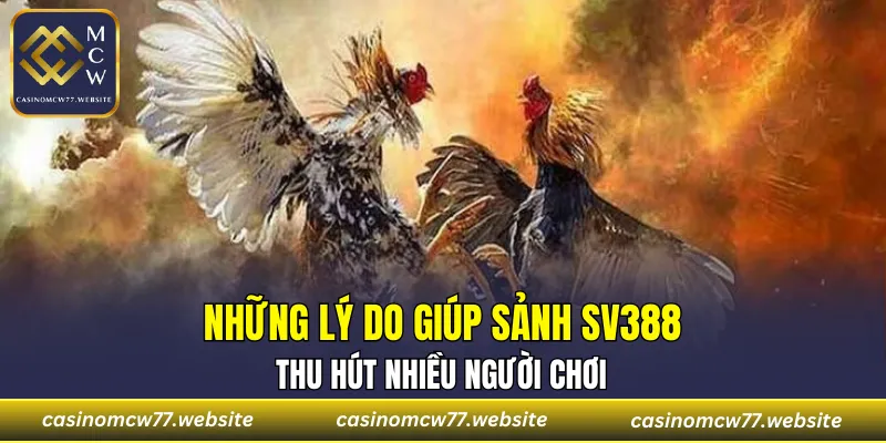 Khám phá sức hút của sảnh SV388
