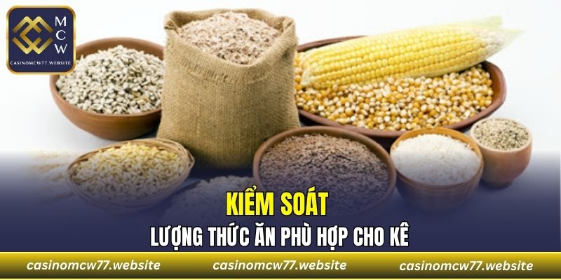 Kiểm soát lượng thức ăn phù hợp cho kê