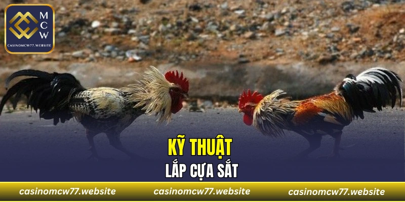Kỹ thuật lắp cựa sắt