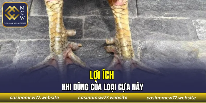 Lợi ích khi dùng của loại cựa này