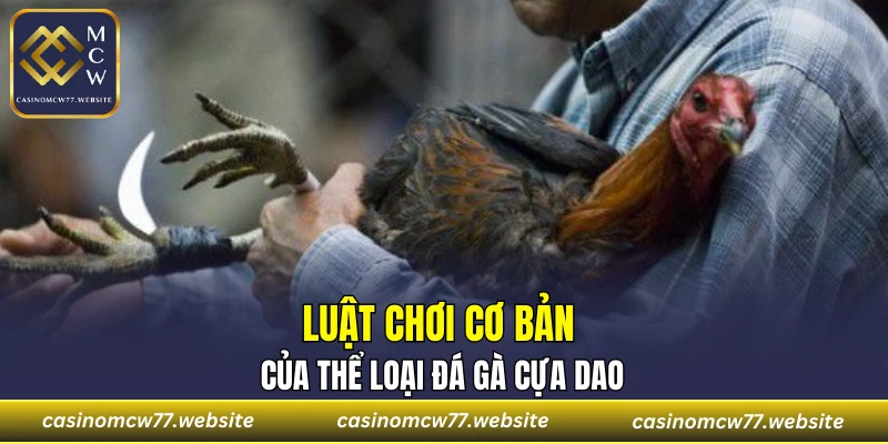 Luật chơi cơ bản của thể loại đá gà cựa dao