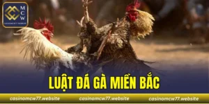 Luật Đá Gà Miền Bắc