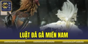 Luật Đá Gà Miền Nam