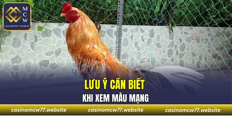 Lưu ý cần biết khi xem màu mạng