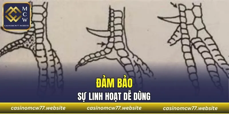 Mang đến sự linh hoạt khi dùng