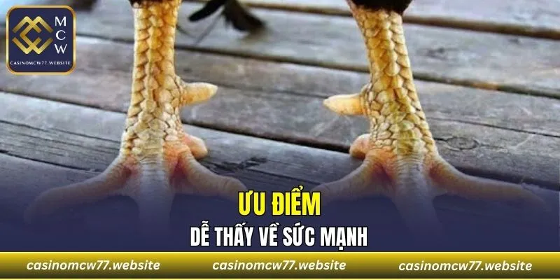 Mang đến sức bền cực cao