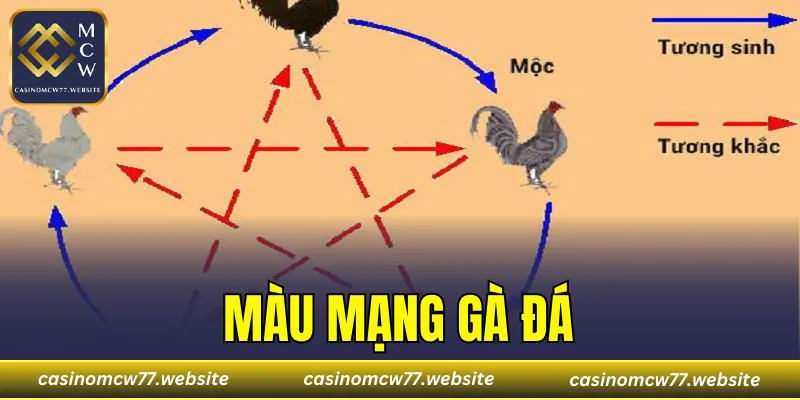 Màu Mạng Gà Đá