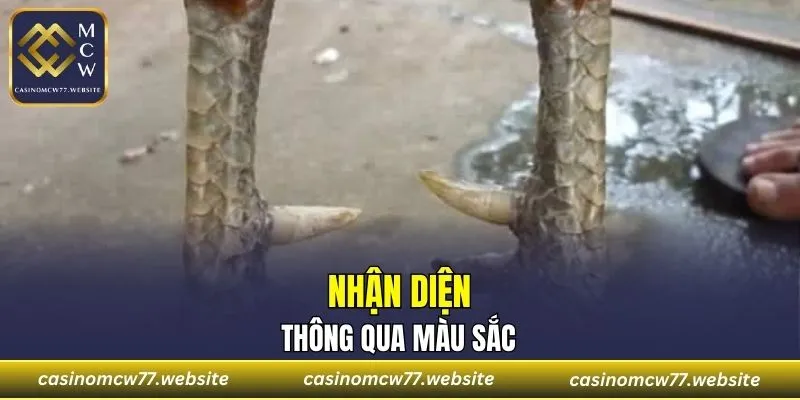 Màu phổ biến dễ nhận thấy