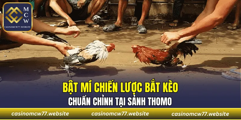 Mẹo bắt kèo đá gà ăn đậm 100%
