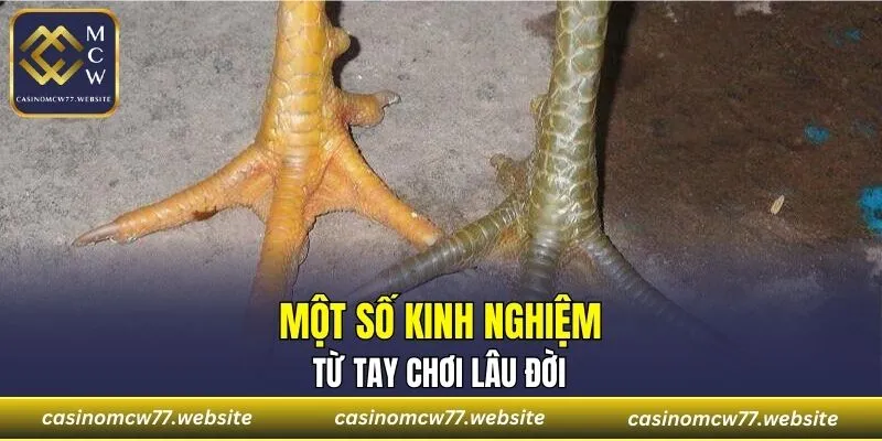 Một số kinh nghiệm từ tay chơi lâu đời