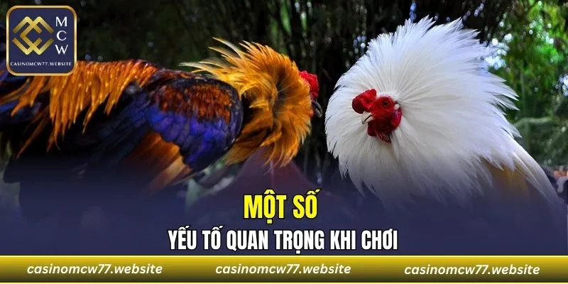 Một số yếu tố cực kỳ quan trọng khi chơi