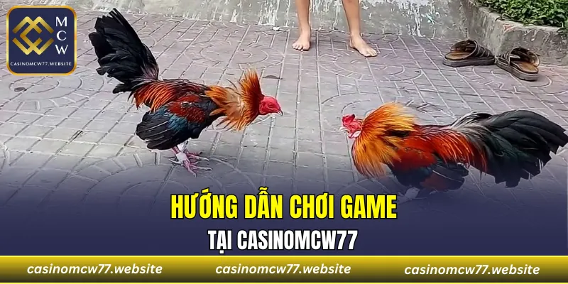 Một trải nghiệm đam mê đậm chất với trò chơi cựa đối cựa